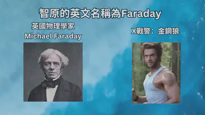 智原的英文名稱為Faraday