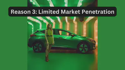 Reason 3 Limited Market Penetration